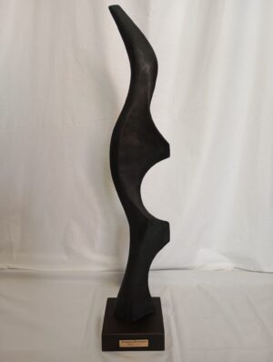 Dragoș Dorojan - Flight