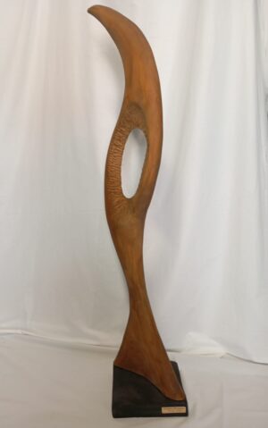 Dragoș Dorojan - Bird