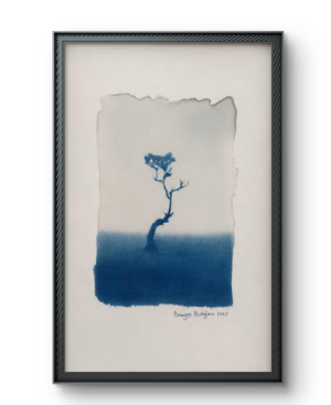 Dragoș Dorojan - Cyanotype 3