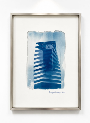 Dragoș Dorojan - Cyanotype 1