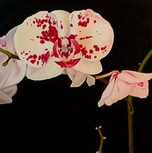 Fazakas János László - Orchid 1